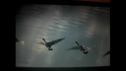 Fly Away Home Part 11