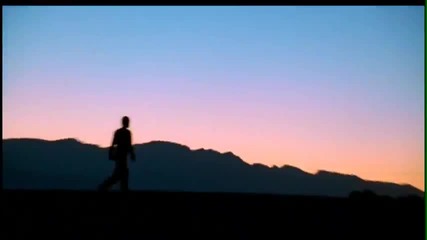 Sting - Desert Rose
