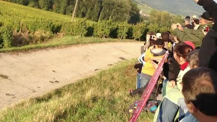 Луд пилот се забива в лозя