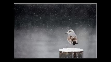 Kitaro - Wings_