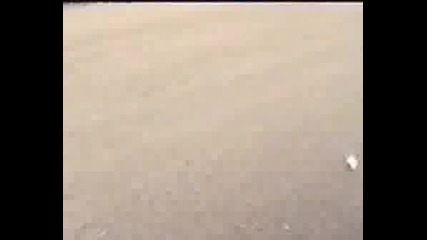 Toyota Vs Bmw