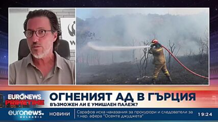 WWF Гърция: За първи път виждаме такава директна връзка между горски пожари и туризъм