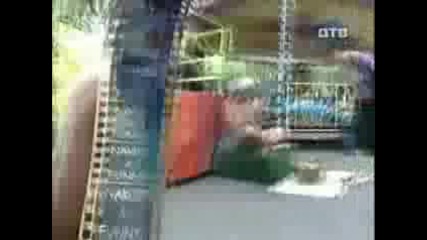Goli i smeshni sus zmqta 