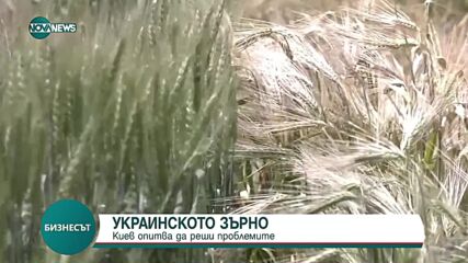 Полша забрани и транзита на украинско зърно
