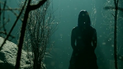 Shinedown - Through The Ghost [official Video]