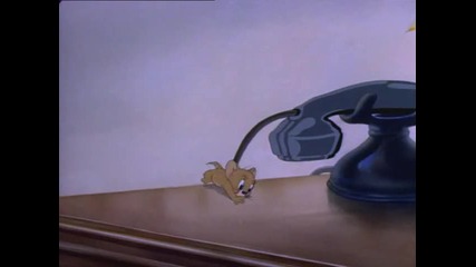 Tom and Jerry - Puss n Toots