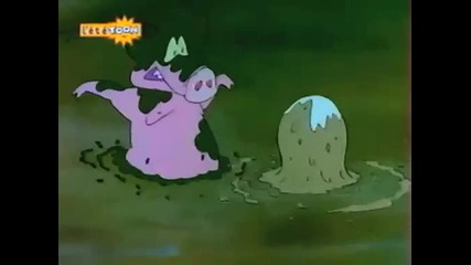 Zoo Cup Прасета срещу Хипопотами