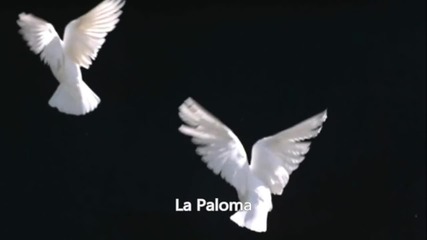 ••• Гълъб ••• Julio Iglesias - La Paloma / Превод /