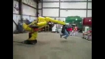 Wild Ride