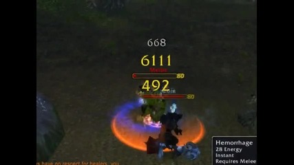 Wow Gameplay (80 level)