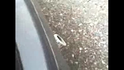 pesho s golfo