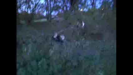 Funny Falls
