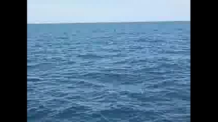 Видео011