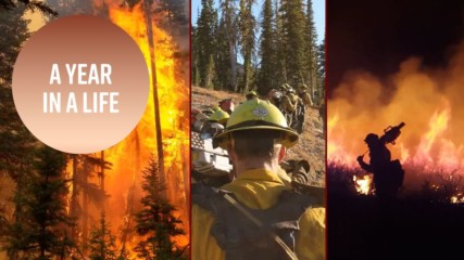 One second a day: What a fireman in paradise saw in 2018