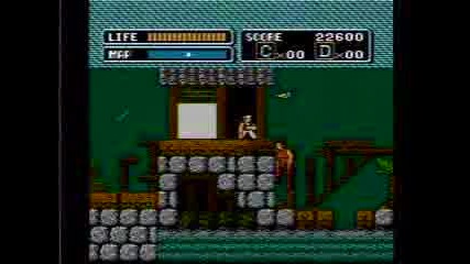 Angry video game nerd 03 - Karate Kid