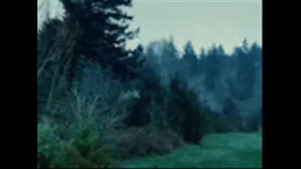 Kristen Stewart snimki