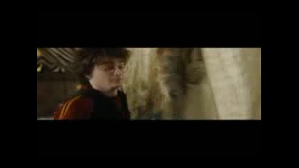 Harry & Hermione - Before Its Too Late