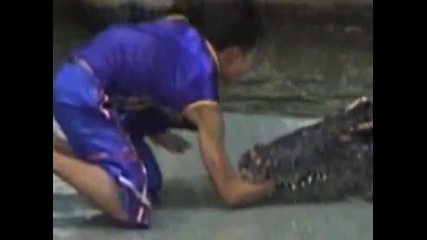 така става като сй играе с крокодил 