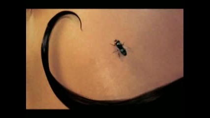 Aeon Flux (Game)
