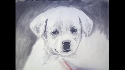Бърза Рисунка на Малко Кученце... 