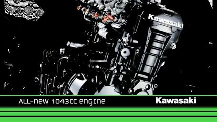 Kawasaki Z1000 2010 