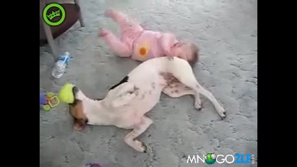Куче забавлява бебе 