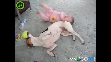 Куче забавлява бебе