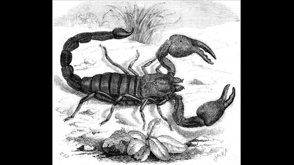 skorpions holyday 