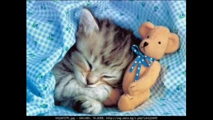 Sweet Friends