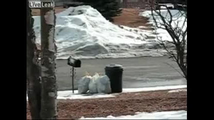 Давай да изчистим всичко (смях)