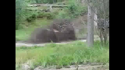 Какво може да го спре тоя звяр