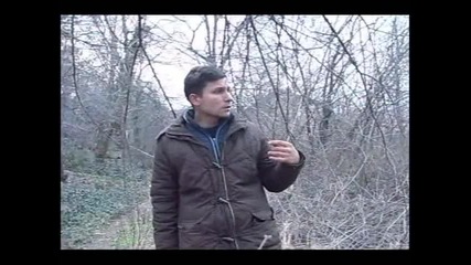 dali e ve4nost miga