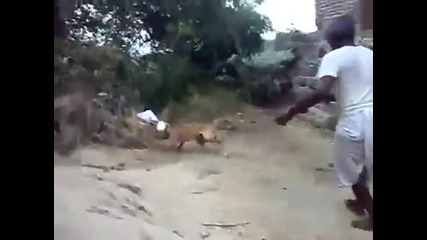 Това може да се случи само в Индия