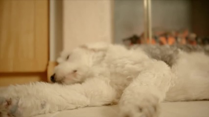 Eric Nam - Heaven's Door [mv]