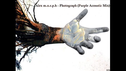 Alex M.o.r.p.h. – Photograph (purple Acoustic Mix)