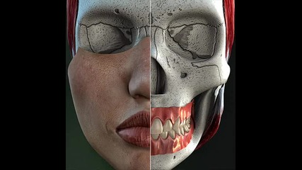 Calaveris Minimal Techno - mix