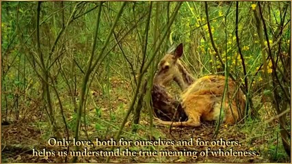 Deer - Sacred Carriers of Peace - Watermark by Sarah Brightman