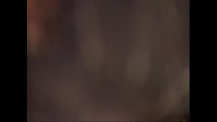 Bbc life part 5 birds 