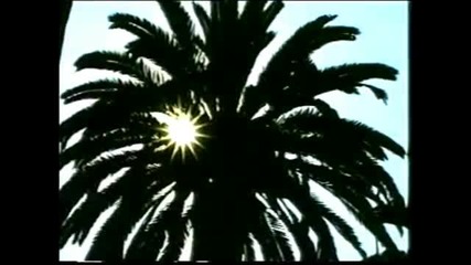 Дързост и Красота - Скандал - Стефани Форестър се развихря - 2002