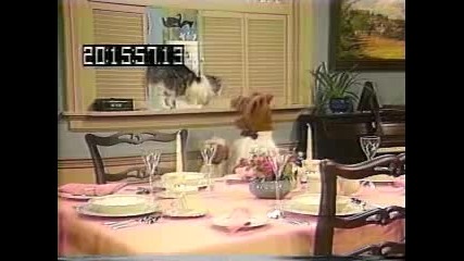 Alf - Bloopers