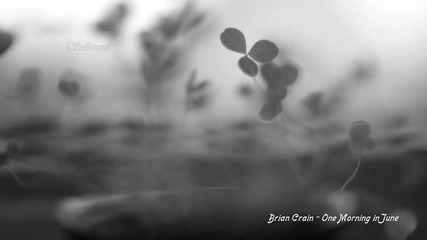 Brian Crain - One Morning in June