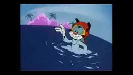 Wakko - 50 State Capitols