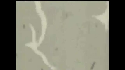 Gaara amv Linkin Park - Don t Stay
