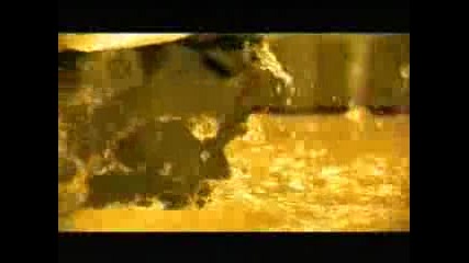 Michael Phelps - Go World