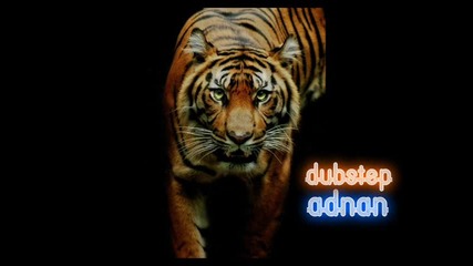 Dubstep: First of The Year « Adnan »