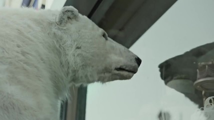 Бездомна полярна мечка в Лондон