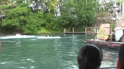 Атака от бяла акула