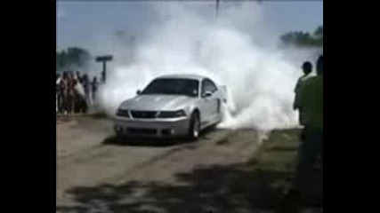 Sweetest Burn Mustang