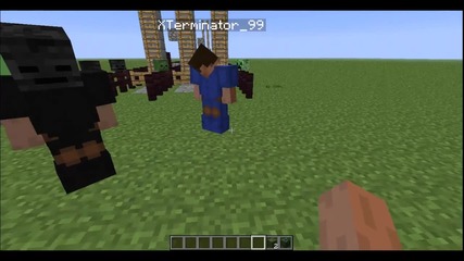 Minecraft - Race