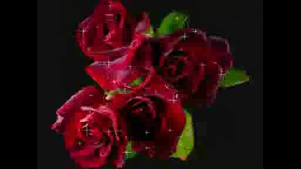 Rot Sind Die Rosen Semino Rossi